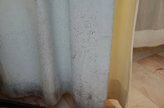 Rainy Season Curtain Care: Practical Tips for Dehumidifying and Preventing Mold