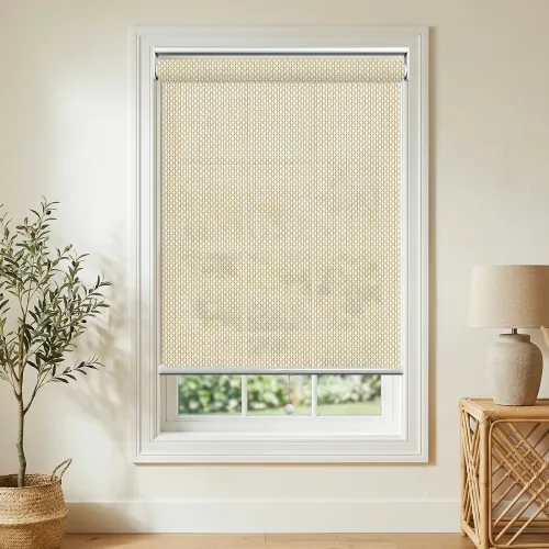 A113 Filter Spring Roller Shade