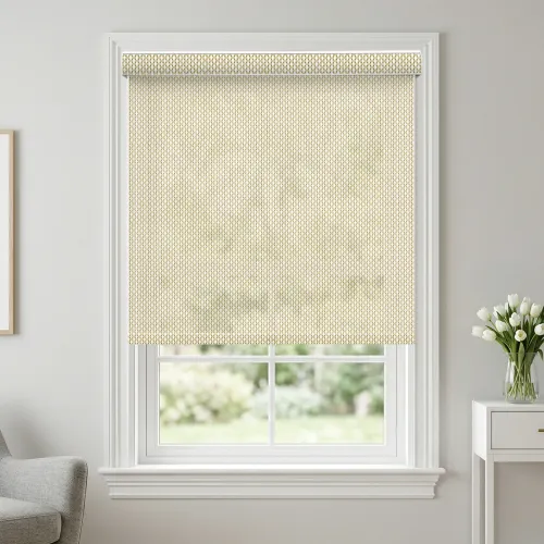 A113 Filter Curved Cassette Roller Shade