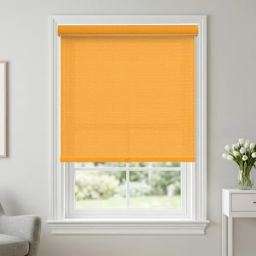 A110 Filter Curved Cassette Roller Shade