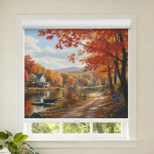 Custom Print Light Filtering Cordless Curved Cassette Roller Shade (A110)