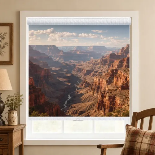 Custom Print Blackout Cordless Curved Cassette Roller Shade (A111)