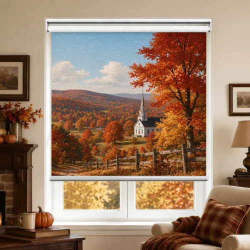Custom Print Blackout Cordless Spring Roller Shade (A110)