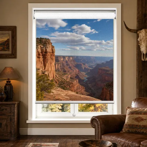Custom Print Light Filtering Cordless Spring Roller Shade (A110)