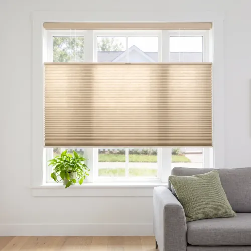 Light Filtering Cordless No-Drill Top Down Bottom Up Cellular Shade — Double Arc