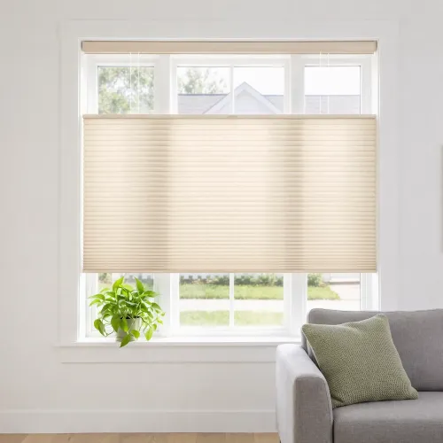 Light Filtering Cordless Top Down Bottom Up Cellular Shade