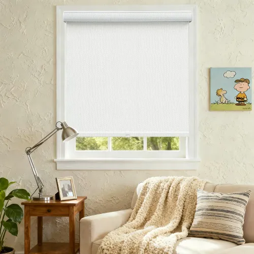 Custom Print Light Filtering Cordless Curved Cassette Roller Shade (A110)