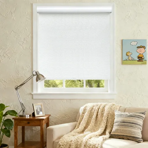 Custom Print Blackout Cordless Curved Cassette Roller Shade (A111)