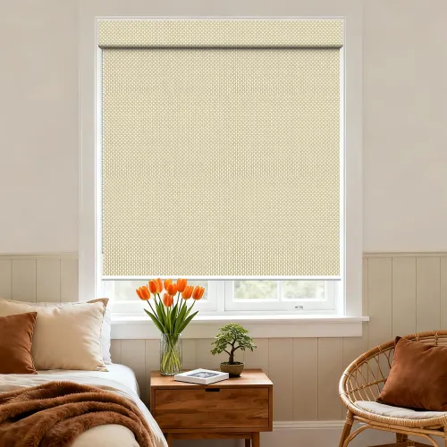 A113 Filter Square Hood Roller Shade