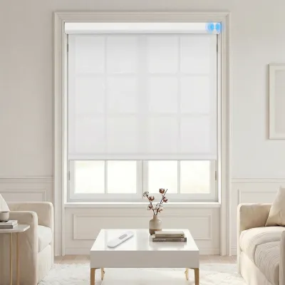 Smart Motorized Blinds